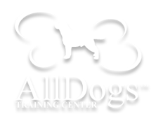 AllDogs, educazione per cani e proprietari