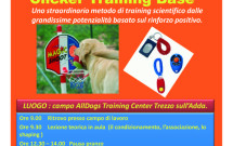 Microsoft PowerPoint - Domenica 04 Marzo Clicker Training di bas